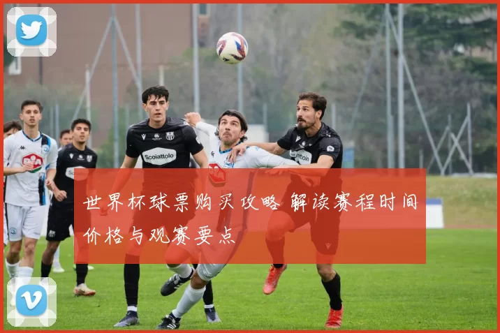 世界杯球票购买攻略 解读赛程时间价格与观赛要点